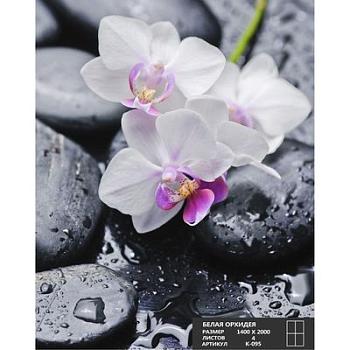 Фотообои Белая орхидея 2х1,4 м; Симфония, К-095
