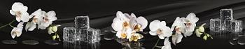 Фартук ПВХ фотопечать Орхидея и лед 600х3000 мм; Арсенал