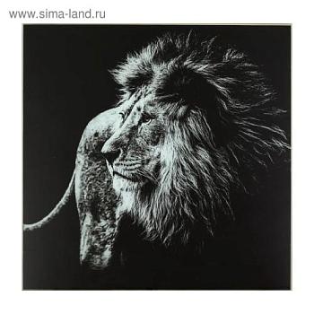 Картина 50х50 см Чёрно-белый Лев; С-Л, 3663771