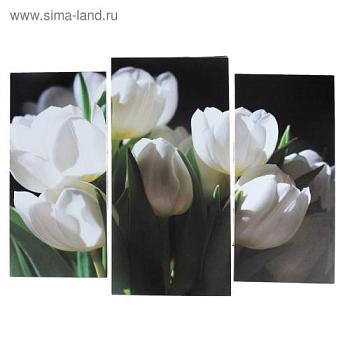 Картина модульная 60х80 см Белые тюльпаны; С-Л, 3981600