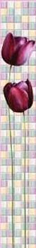 Панель ПВХ EXCLUSIVE Магические тюльпаны 707Н декор 375х2700х8 мм комплект 2 шт; Вента;