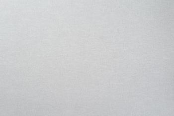 Обои виниловые 1,06х10 м ГТ Перо фон серый; FREEDOM, 10889-05/6