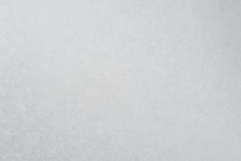 Обои виниловые 1,06х10 м ГТ Элеганс фон серый; АРТЕКС, 10917-03/6