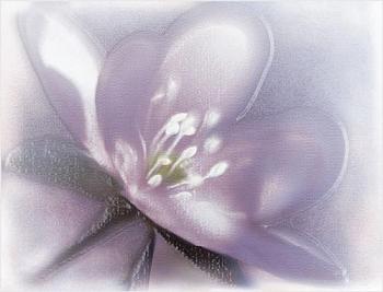 Декор Lila цветок открытый 24,9х36,4 см; Урал-Керамика ,DWU07LIL023