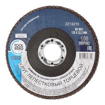 Круг лепестковый торцевой 125х22 мм Р100; T4P, 2213210