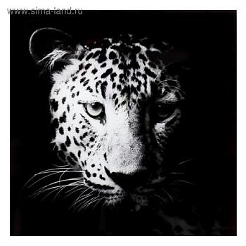 Картина 50х50см на стекле Взгляд леопарда; С-Л, 1247033