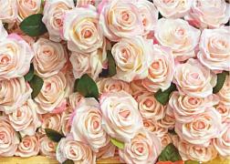 Фотообои Роскошные розы 8л. 2,8х2 м; Симфония, В-013