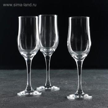 Набор бокалов для шампанского 3 шт 200 мл Tulipe; С-Л, 552057