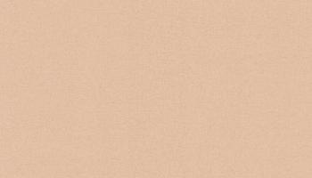 Обои виниловые 1,06х10 м ГТ Париж фон бежево-оранжевый; Вернисаж, 168069-03/6